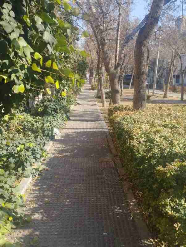 تصویر خاطره رهایی از رهایی